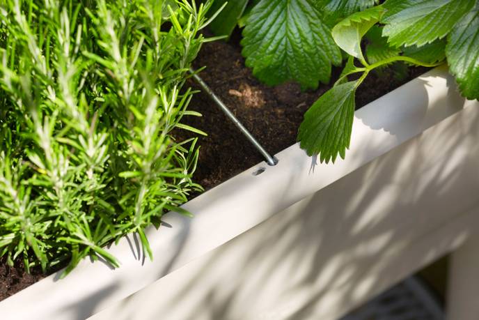 noa potager sur pied gris chaud